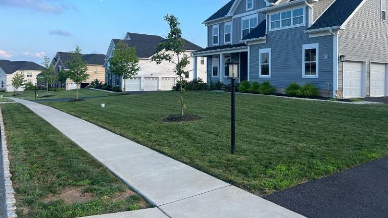 Give Your Lawn a Good Spring Cleanup