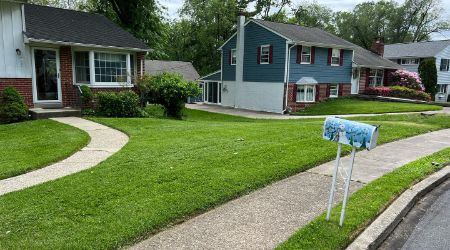 lawn care