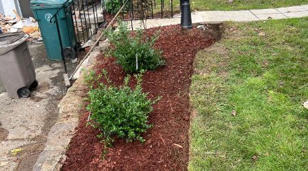 garden bed construction