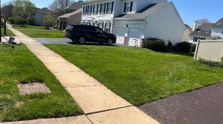 lawn fertilization