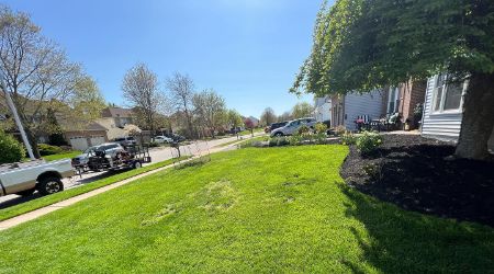 mulch installation