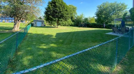 yard cleanup